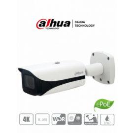 DAHUA - DH-IPC-HFW5831EN-ZE